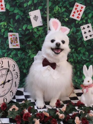 20250408ゆずちゃん